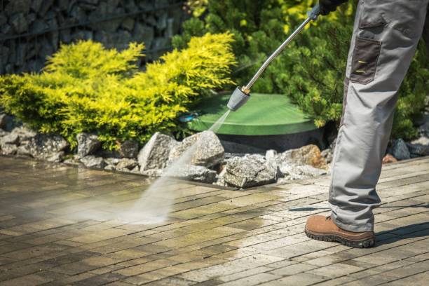 Best Animal Enclosure Cleaning  in Emmett, ID