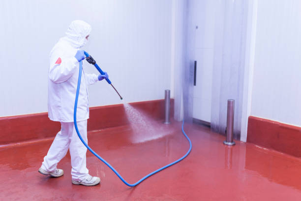Best Sidewalk and Walkway Cleaning  in Emmett, ID